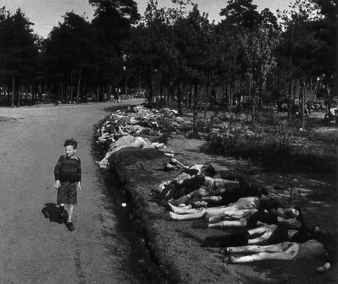 Sieg Maandag, jeune Juif hollandais survivant,
marchant sur un chemin bordé de cadavres, à Bergen-Belsen, vers le 20 avril 1945.