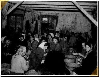  Le camp de concentration de Bergen-Belsen, en Allemagne.