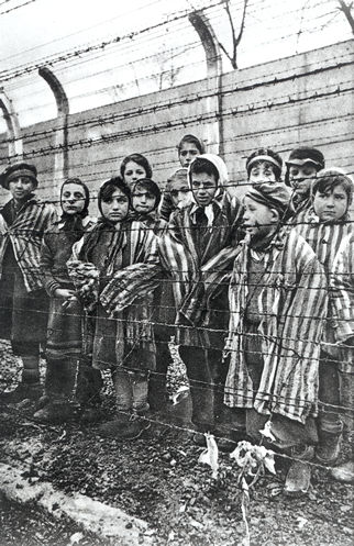 Un groupe d'enfants juste après la libération d'Auschwitz
Photographie, 1945, Museum d'Auschwitz-Birkenau, Neg.-Nr. 766