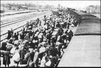 Arrivée d'un train de déportés hongrois le 26 mai 1944 sur la rampe d'Auschwitz-Birkenau.
Au fond, à droite, derrière les arbres, on distingue la cheminée du crématoire III.