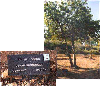 La plaque en hommage à Oskar Schindler, au pied de l'arbre qui lui est dédié dans l'Allée des Justes de Yad Vashem à Jérusalem