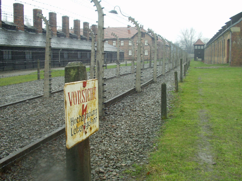 Photos d'Auschwitz. Barbelés.