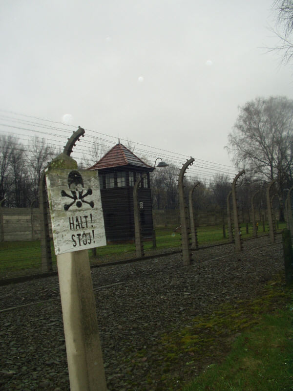 Quelques photos dérisoires d'Auschwitz. Camp d'Auschwitz