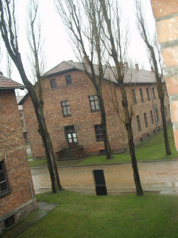 Quelques photos dérisoires d'Auschwitz